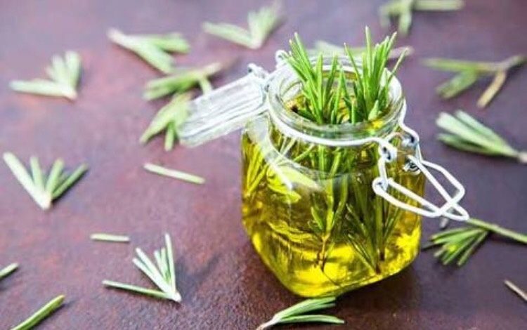 Tự Làm Nước Dưỡng Tóc Từ Hương Thảo Và Húng Cây